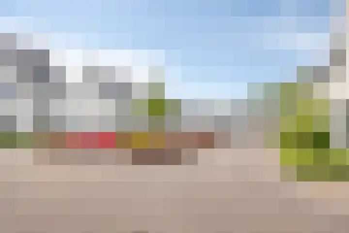 Kappost 10 Best foto 2