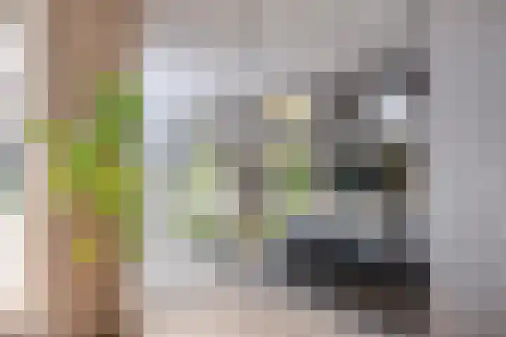 Kappost 10 Best thumbnail 23