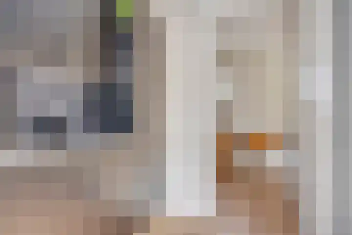 Kappost 10 Best thumbnail 28