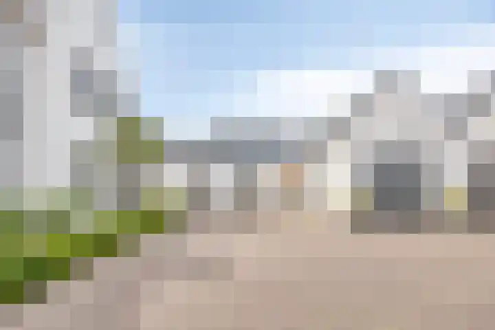Kappost 10 Best foto 3
