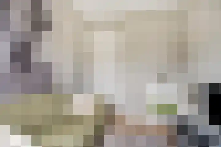 Kappost 10 Best thumbnail 48