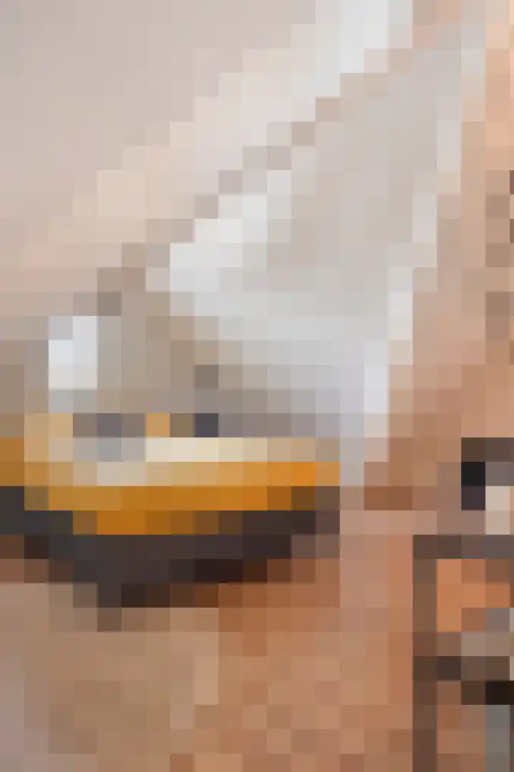 Kappost 10 Best thumbnail 56