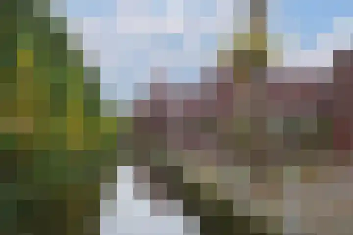Kappost 10 Best thumbnail 64