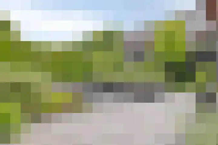 Kappost 10 Best thumbnail 64