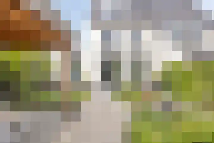 Kappost 10 Best thumbnail 66