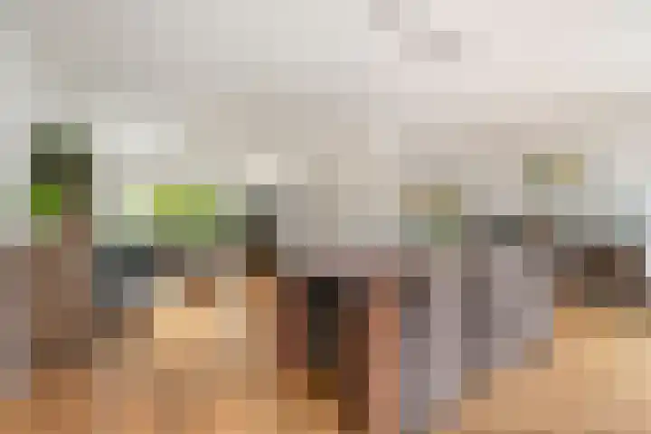 Kappost 10 Best thumbnail 68