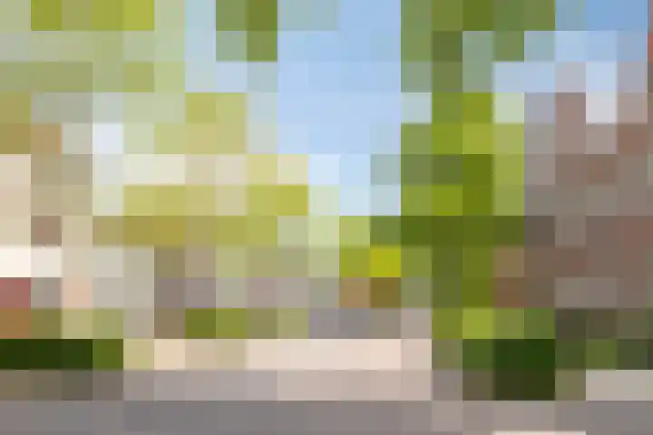 Kappost 10 Best thumbnail 71