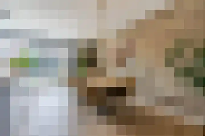 Kappost 16 Best thumbnail 16