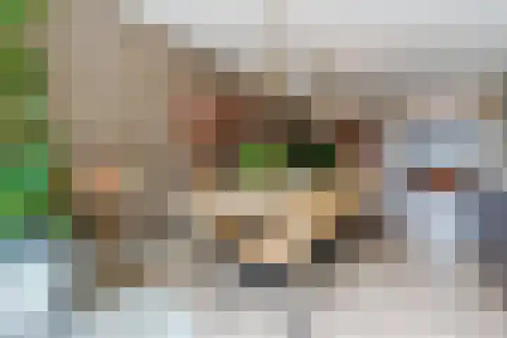 Kappost 16 Best thumbnail 17