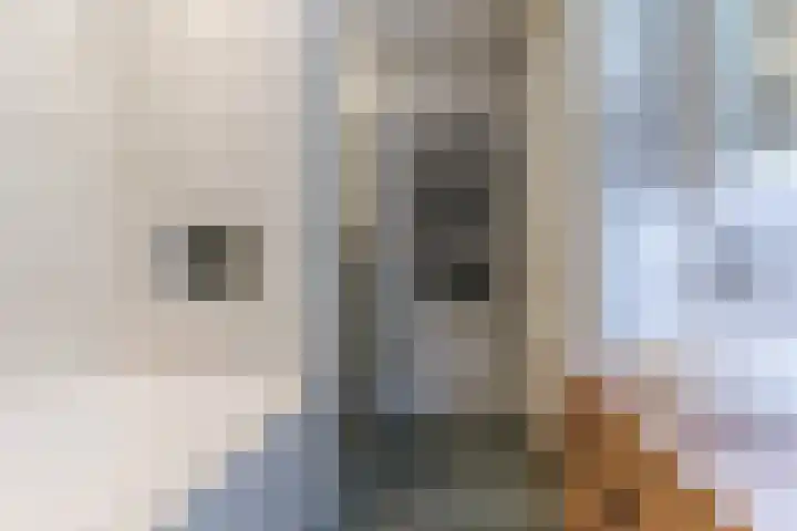 Kappost 16 Best thumbnail 35