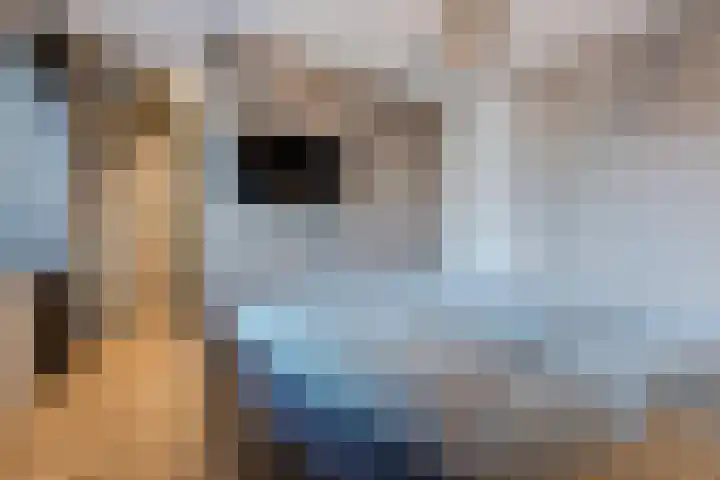 Kappost 16 Best thumbnail 4