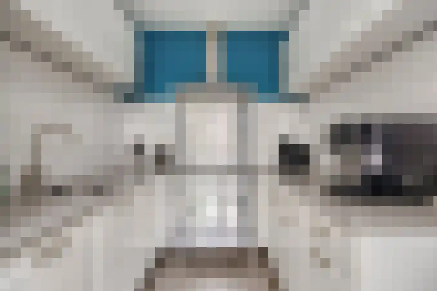 Kaprijkestraat 23 Breda thumbnail 8