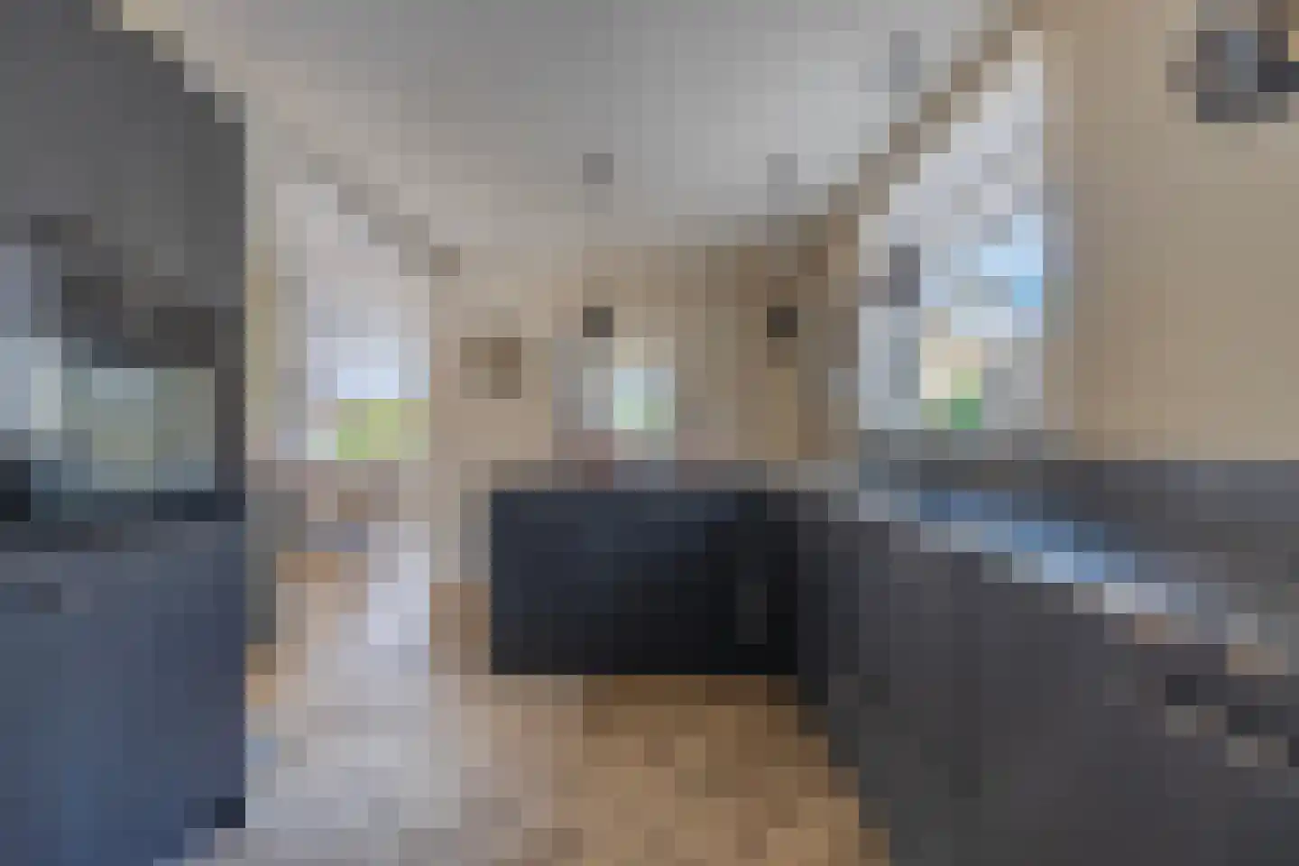 Kapstraat 10 Didam thumbnail 12