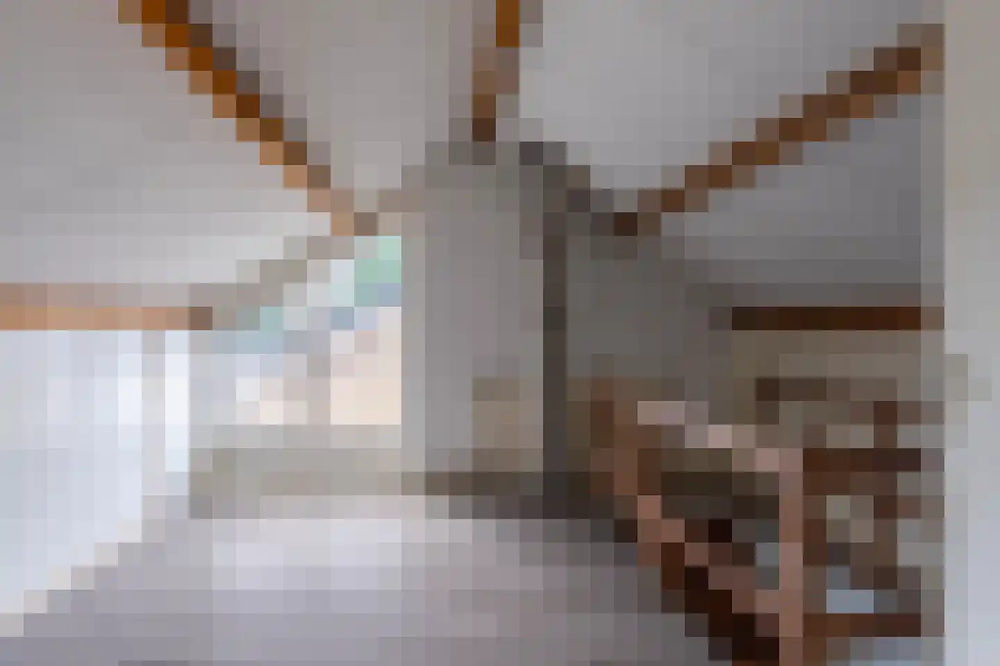 Kapstraat 10 Didam thumbnail 27