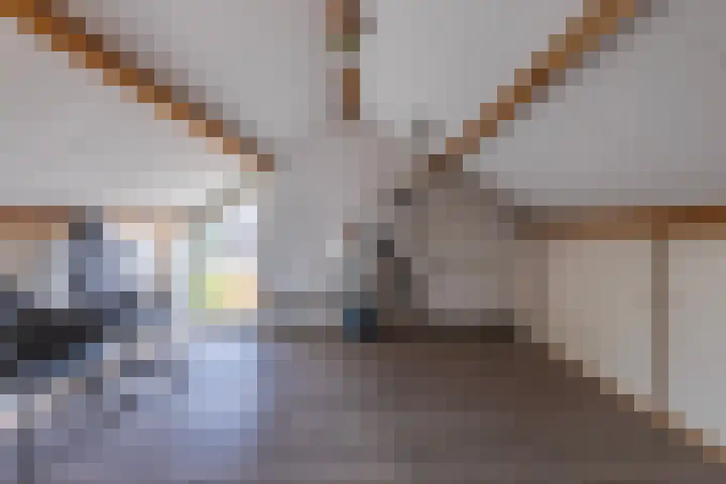 Kapstraat 10 Didam thumbnail 29