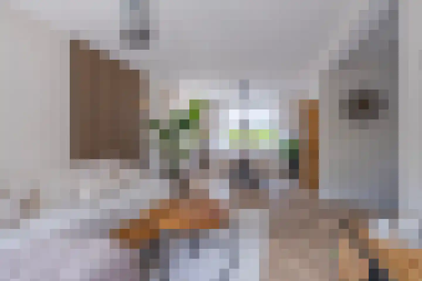 Kapstraat 10 Didam thumbnail 8