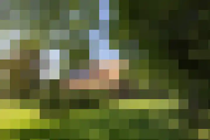 Kapsweg 55 Haarle thumbnail 20
