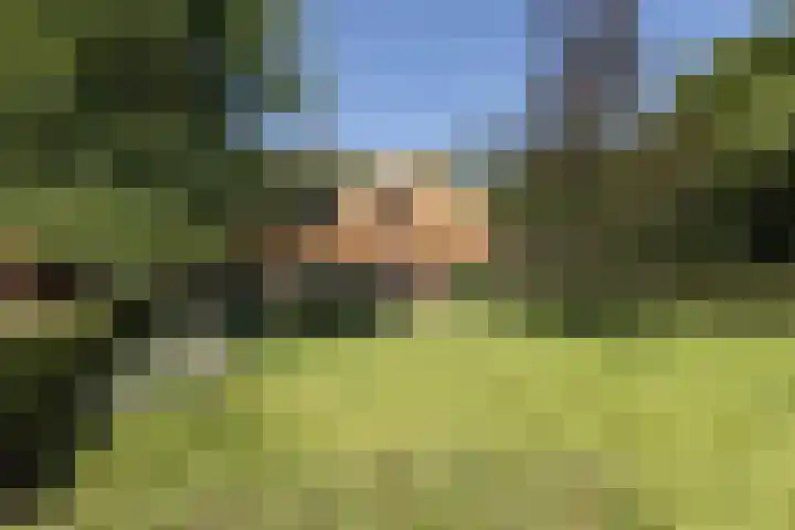 Kapsweg 55 Haarle thumbnail 21