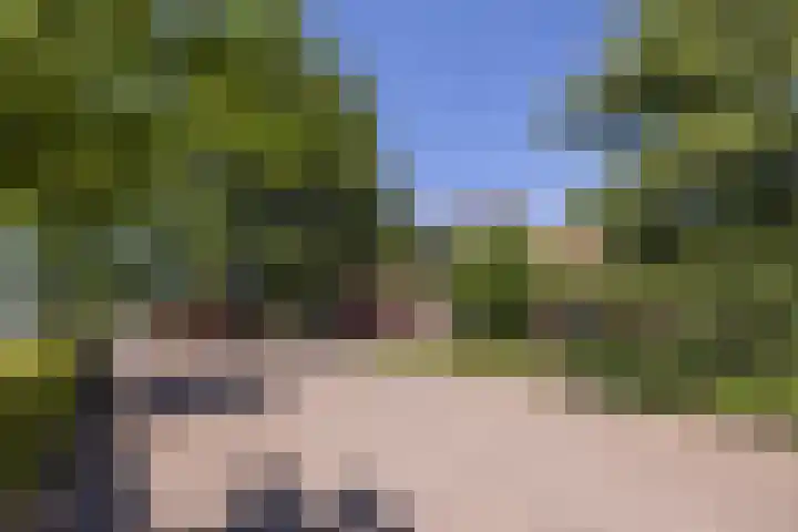 Kapsweg 55 Haarle thumbnail 22