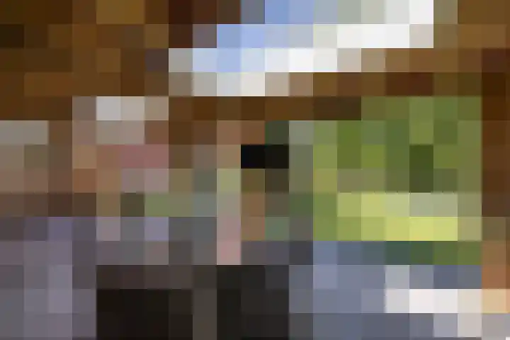 Kapsweg 55 Haarle thumbnail 23