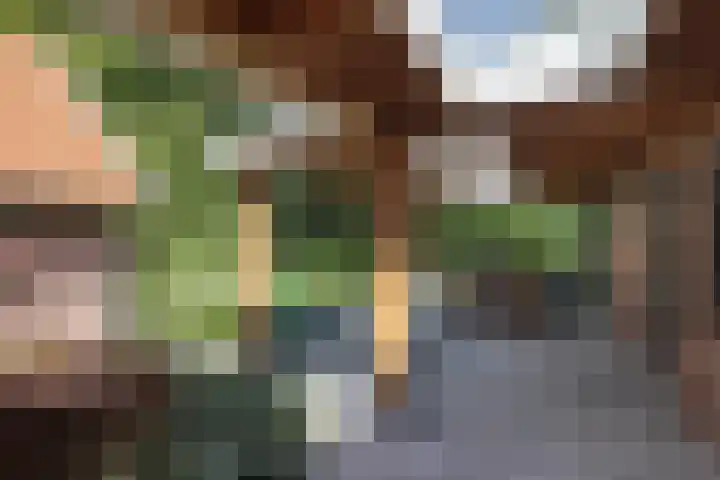Kapsweg 55 Haarle thumbnail 24