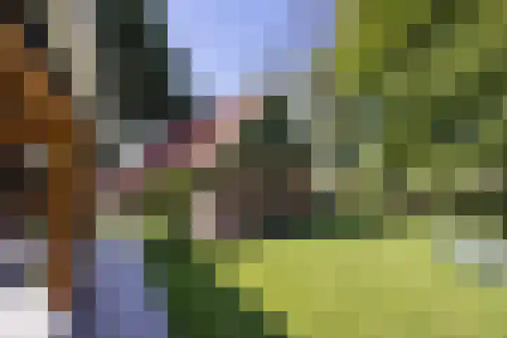 Kapsweg 55 Haarle thumbnail 25