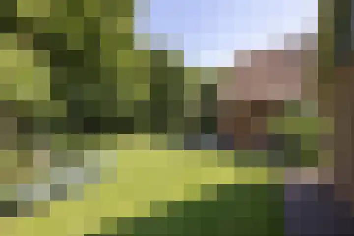 Kapsweg 55 Haarle thumbnail 26