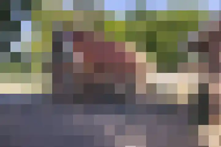 Kapsweg 55 Haarle thumbnail 27