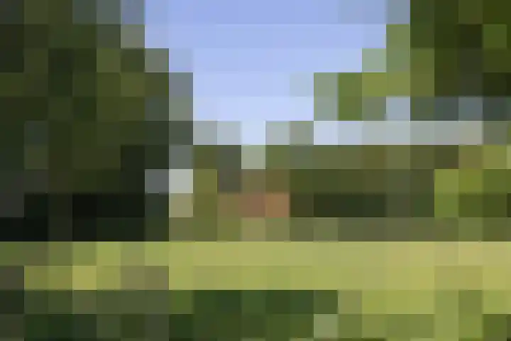 Kapsweg 55 Haarle thumbnail 29