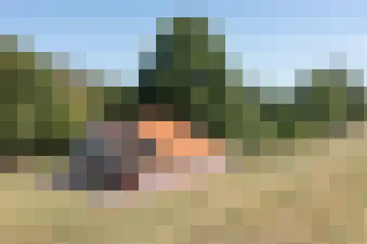 Kapsweg 55 Haarle thumbnail 30