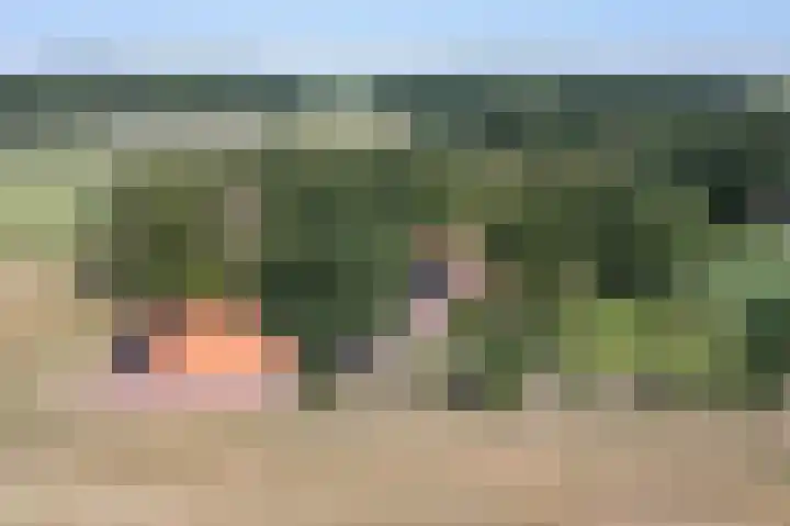 Kapsweg 55 Haarle thumbnail 31