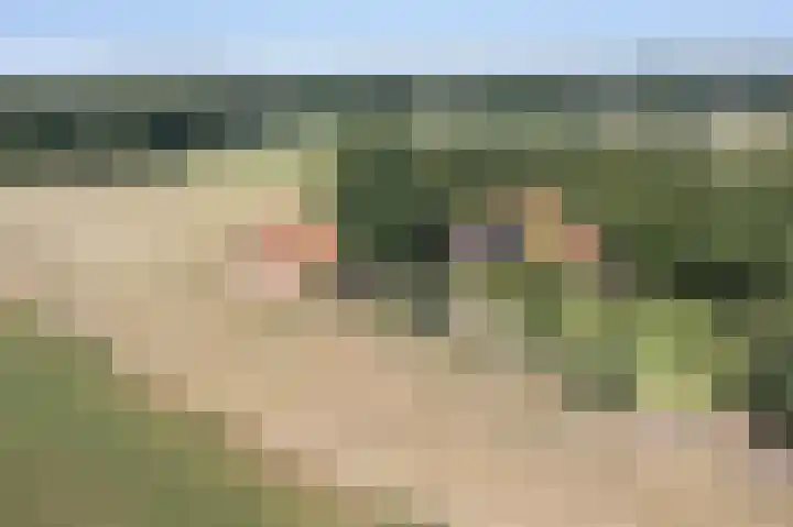 Kapsweg 55 Haarle thumbnail 32