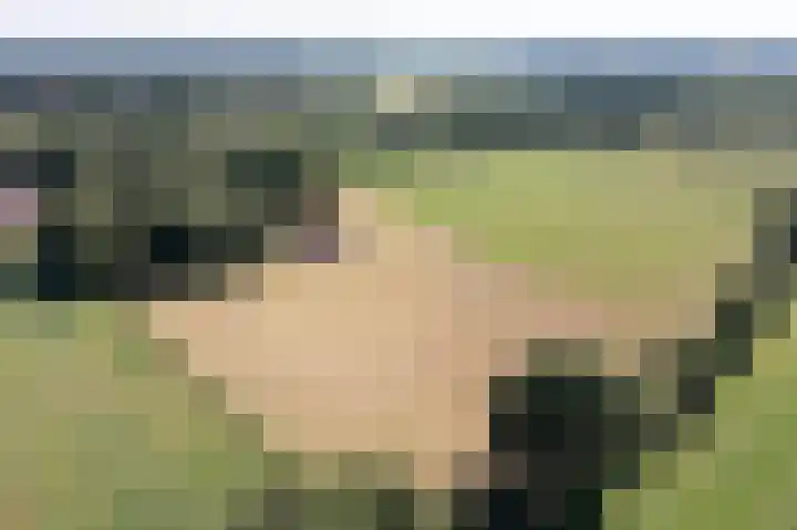 Kapsweg 55 Haarle thumbnail 33
