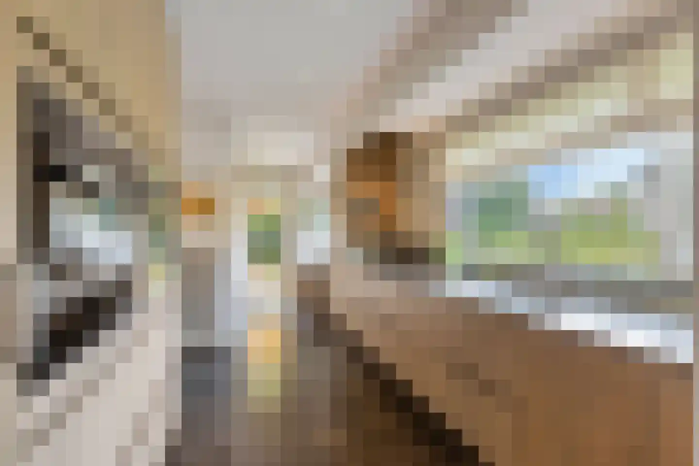 Kapteijnlaan 12 Veldhoven thumbnail 15