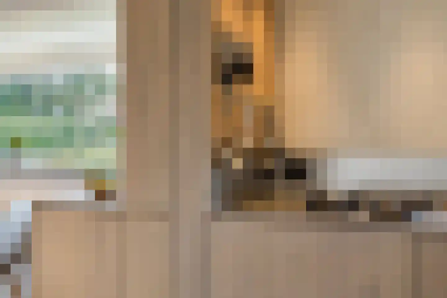 Kapteijnlaan 12 Veldhoven thumbnail 18