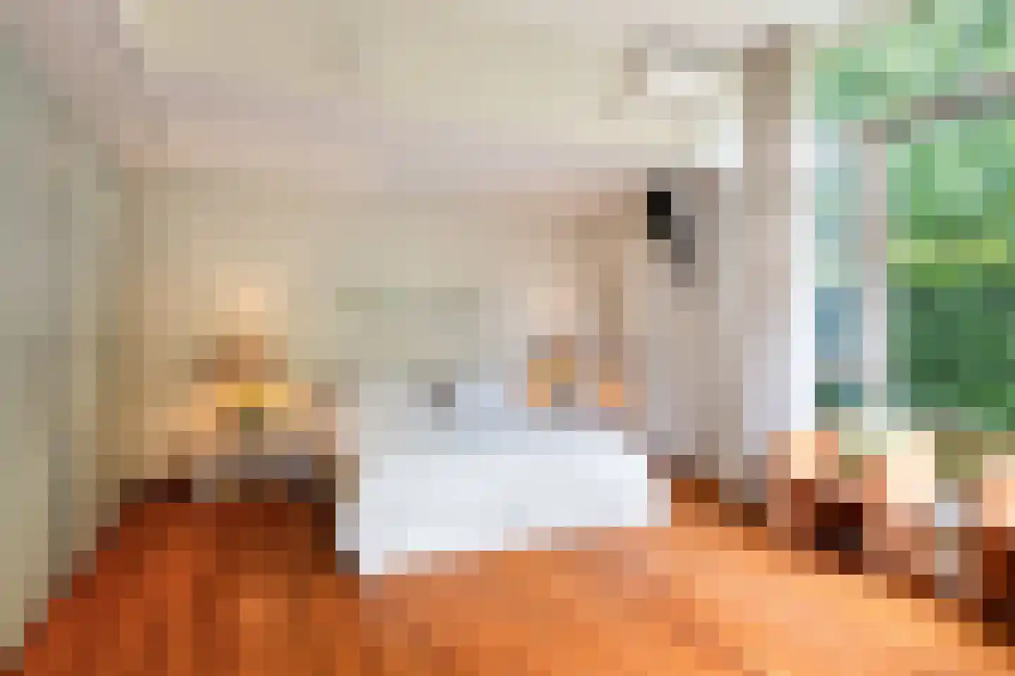 Kapteijnlaan 12 Veldhoven thumbnail 20
