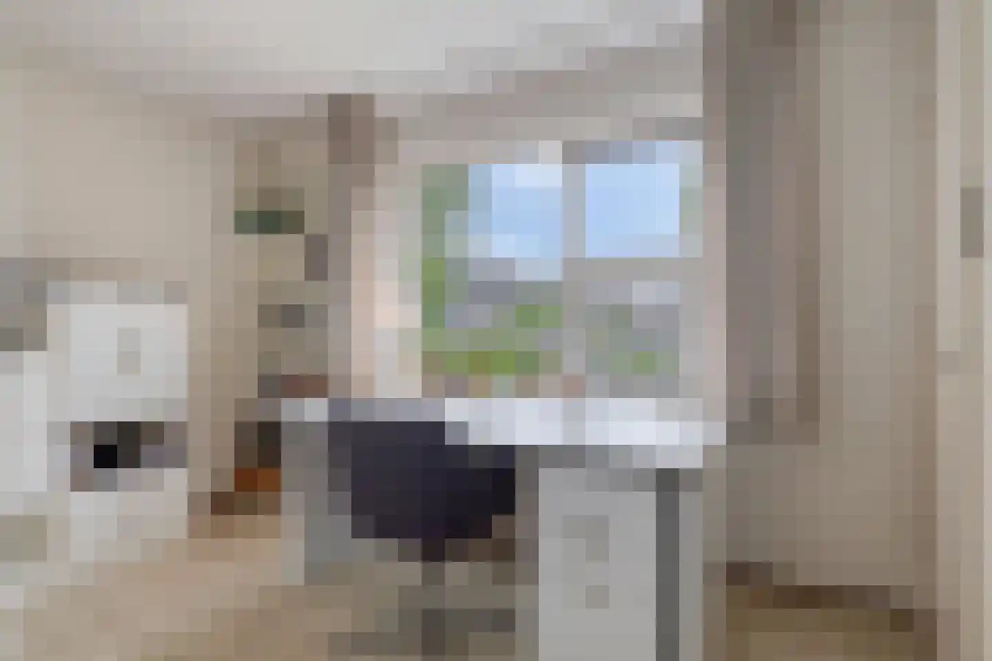 Kapteijnlaan 12 Veldhoven thumbnail 36
