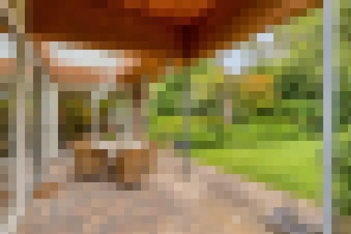 Kapteijnlaan 12 Veldhoven thumbnail 43