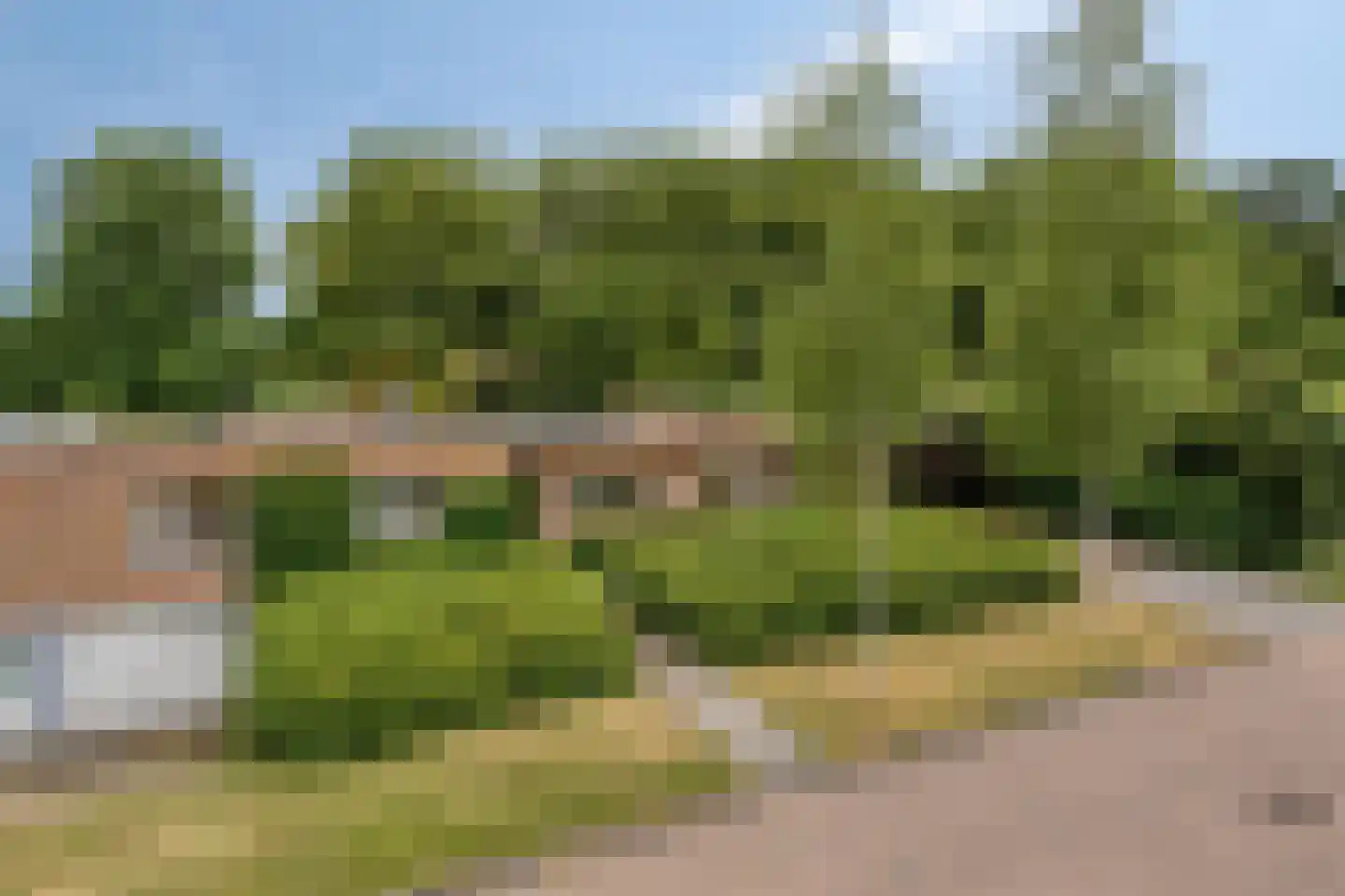Kapteijnlaan 12 Veldhoven thumbnail 48