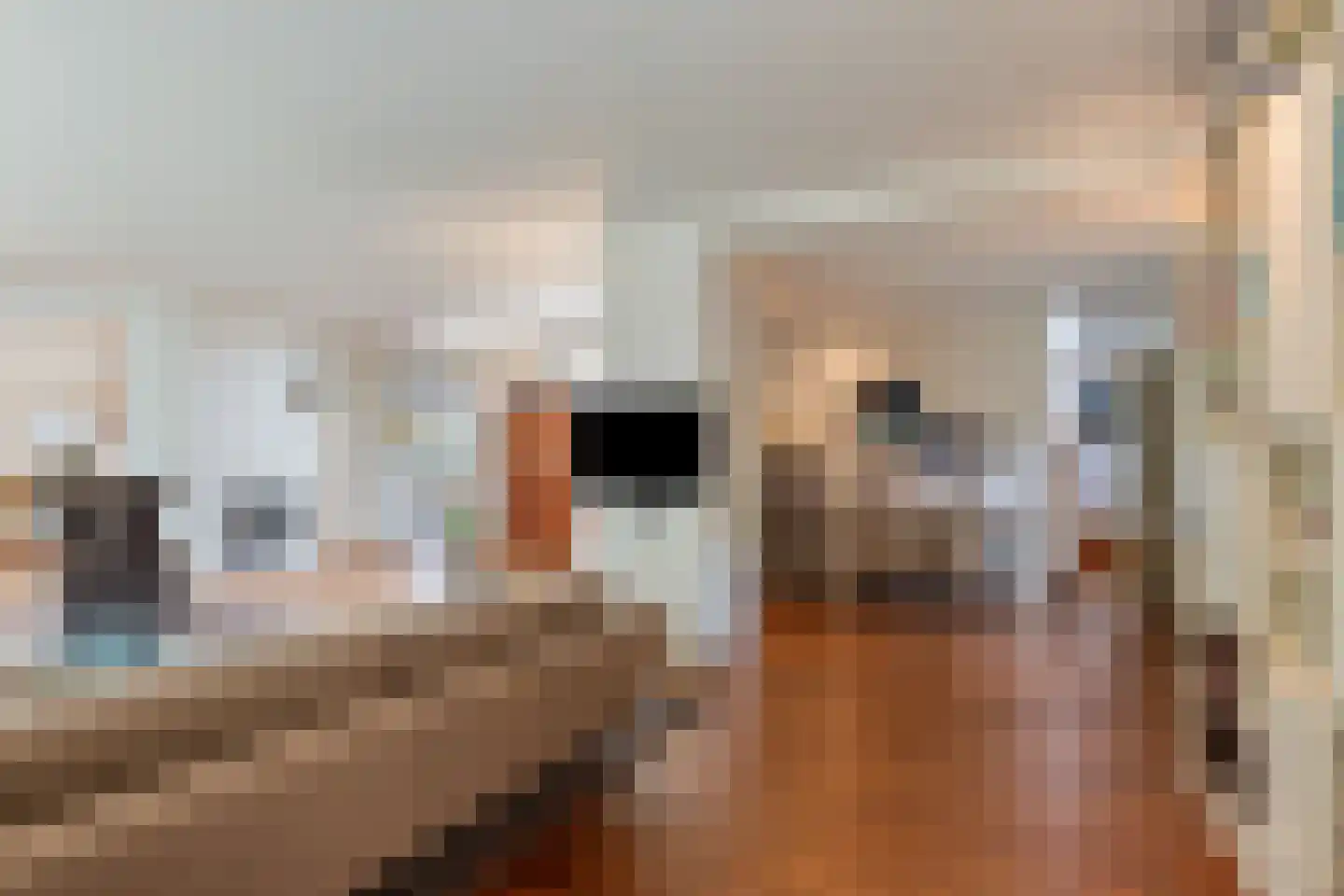 Kapteijnlaan 12 Veldhoven thumbnail 5