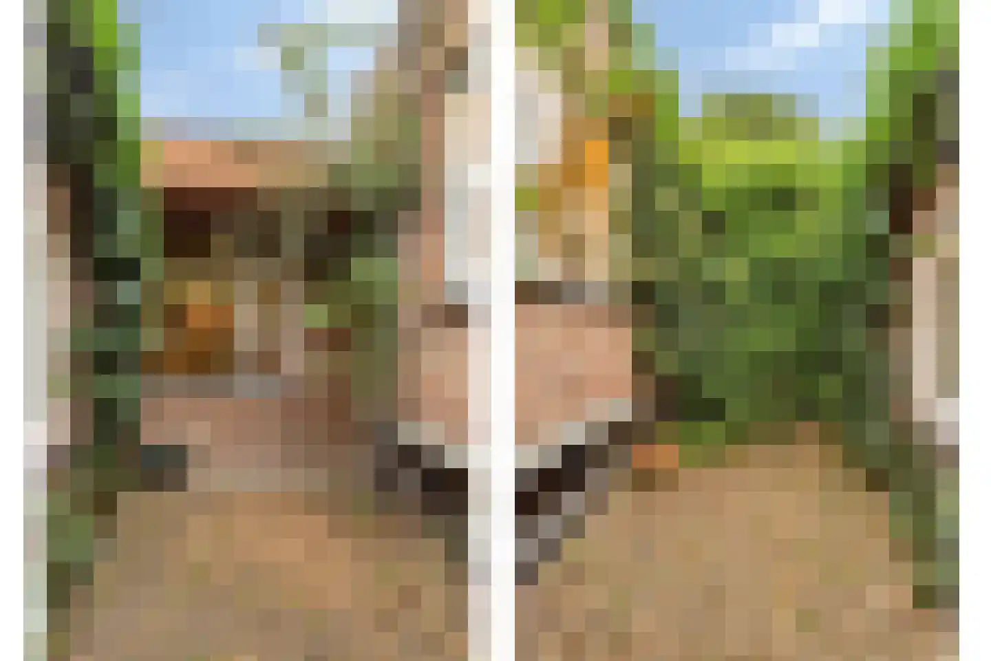 Kapteijnlaan 12 Veldhoven thumbnail 50