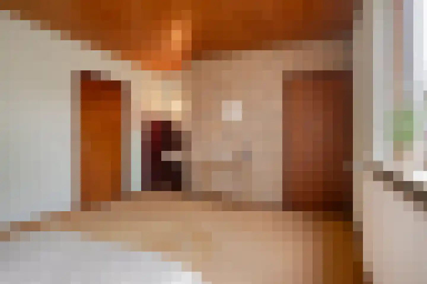Kapteijnlaan 18 Veldhoven thumbnail 18