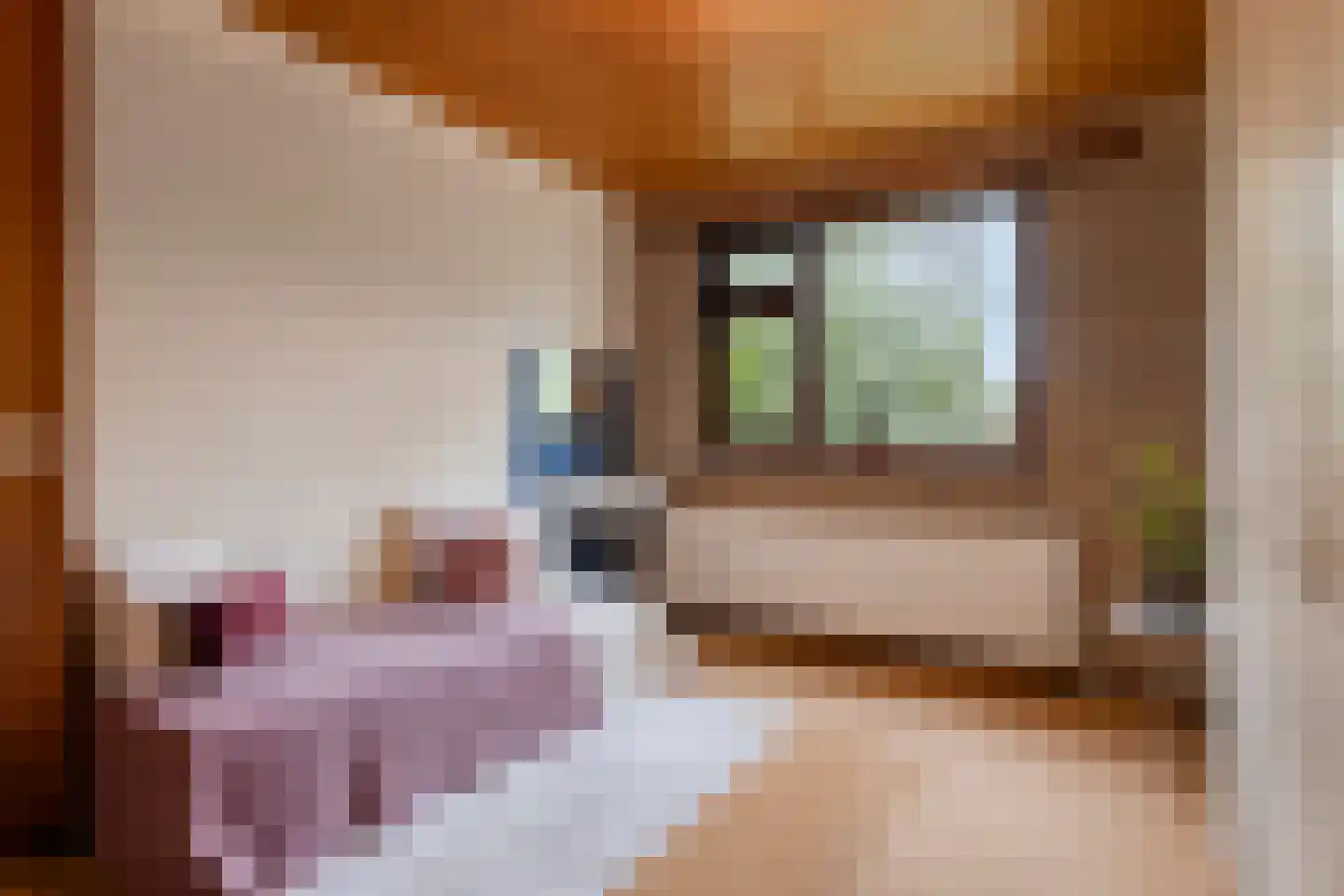 Kapteijnlaan 18 Veldhoven thumbnail 22