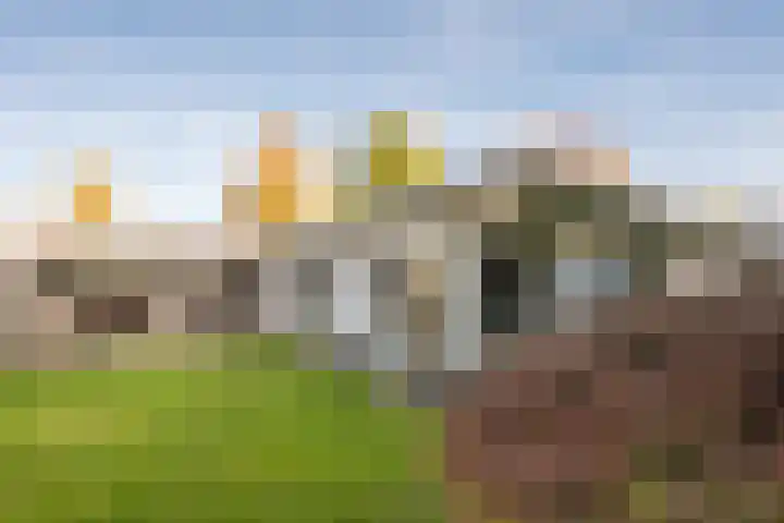 Kapteijnlaan 38 Veldhoven thumbnail 32