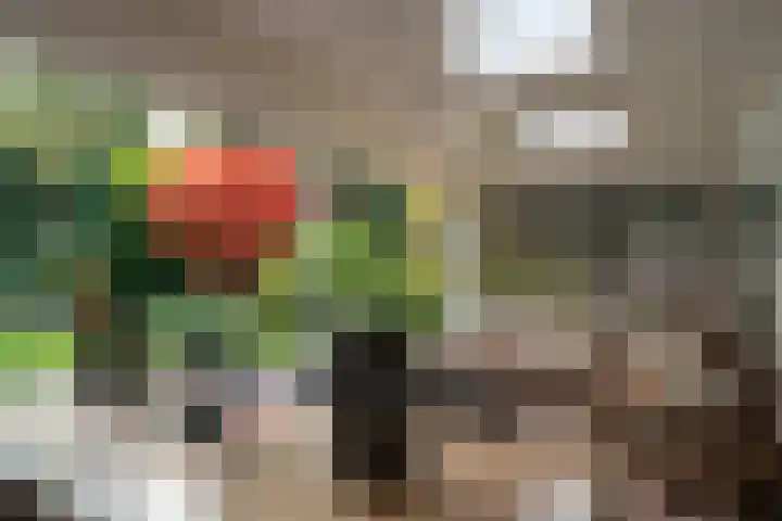 Kapteijnlaan 38 Veldhoven thumbnail 34