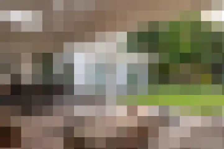 Kapteijnlaan 38 Veldhoven thumbnail 37