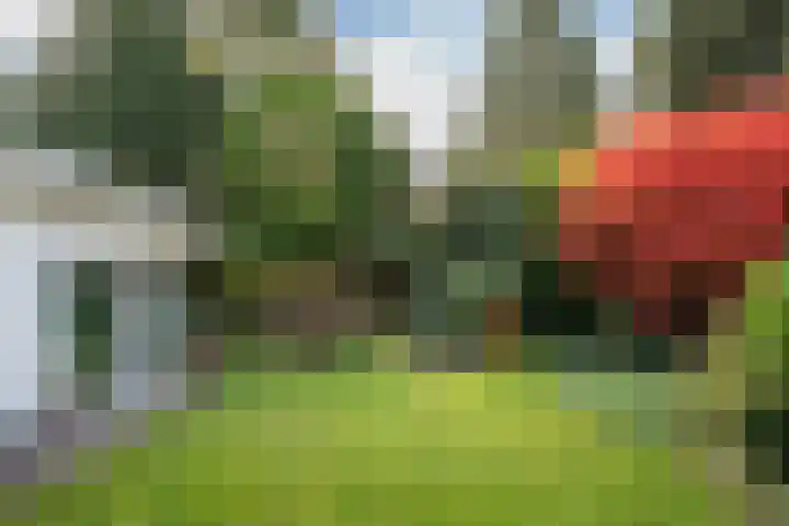 Kapteijnlaan 38 Veldhoven thumbnail 38