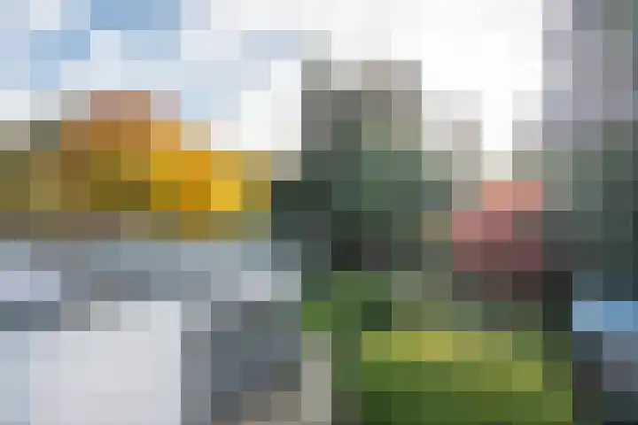 Kapteijnlaan 38 Veldhoven thumbnail 39