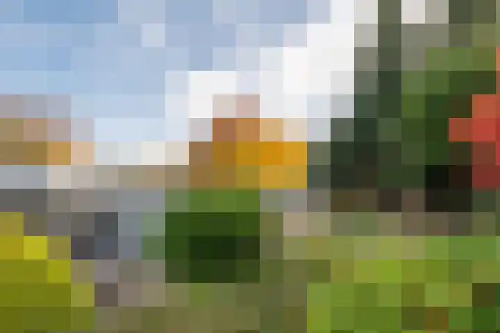 Kapteijnlaan 38 Veldhoven thumbnail 43