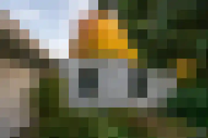 Kapteijnlaan 38 Veldhoven thumbnail 44